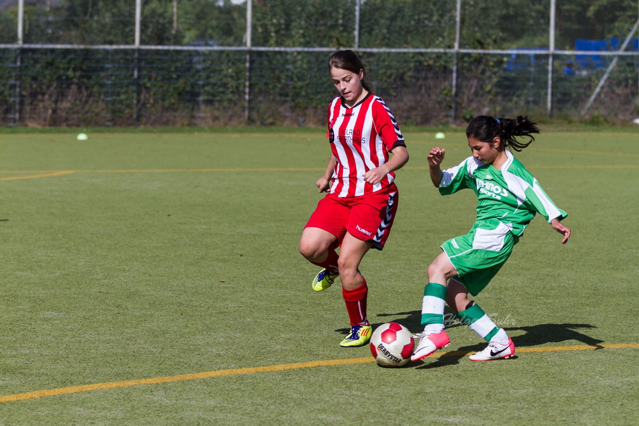 Bild 243 - C-Juniorinnen Kaltenkirchener TS - TuS Tensfeld : Ergebnis: 7:0